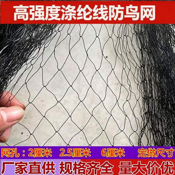 Lote de fábrica suministro directo Red a prueba de pájaros Red de bloqueo de pájaros Red de estanque huerto Red de Protección del aeropuerto de nylon negro red transfronteriza a prueba de pájaros image 2