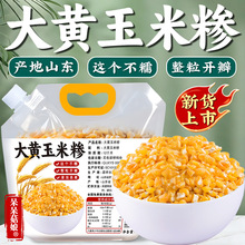 大黄玉米碴大粒黄玉米碴新货玉米碴子棒子渣苞米苞谷渣大碴子粥x