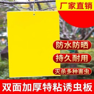 Double-Sided Sticky Insect Trap Board for Fruit Flies, Vegetable Garden Pest Repellent, Mosquito and Fly Repellent, Bee and Fly Insect Prevention Sticker, Thrips Yellow Board
