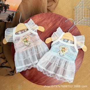 �ļ������؈���·��U���w�乫��ȹ͸�����ë���������l���l