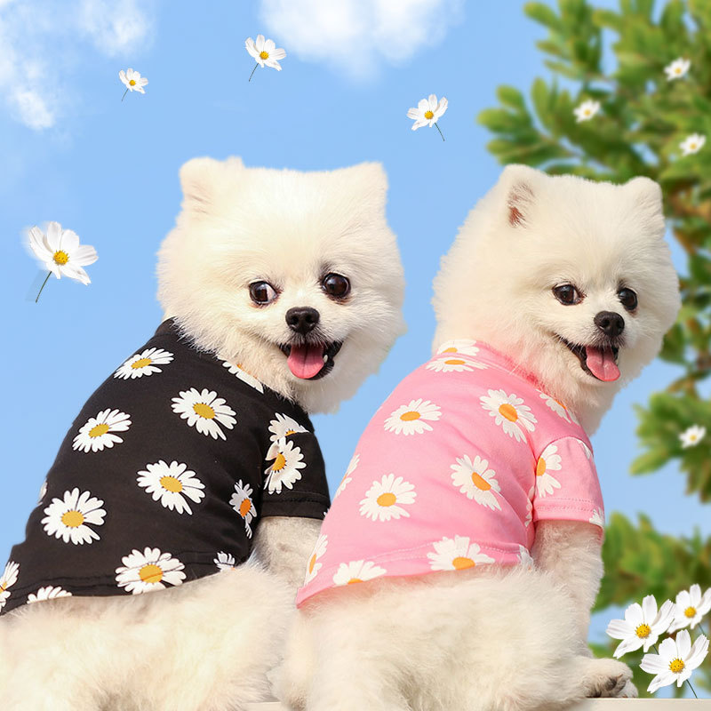 Dogs and cats clothes spring, summer and autumn new style for travel pet supplies teddy bear poodle small medium dog daisy internet celebrity 