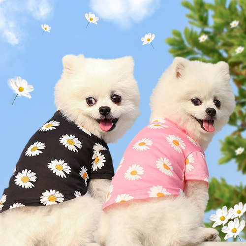 Dogs and cats clothes spring, summer and autumn new style for travel pet supplies teddy bear poodle small medium dog daisy internet celebrity 