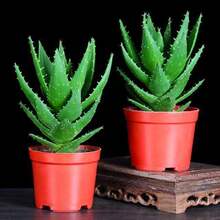 �J�C��ҹ�Ƕ���ֲ���J�C���Ի��ܷ�ݗ�����ȩ�����՚��k��������