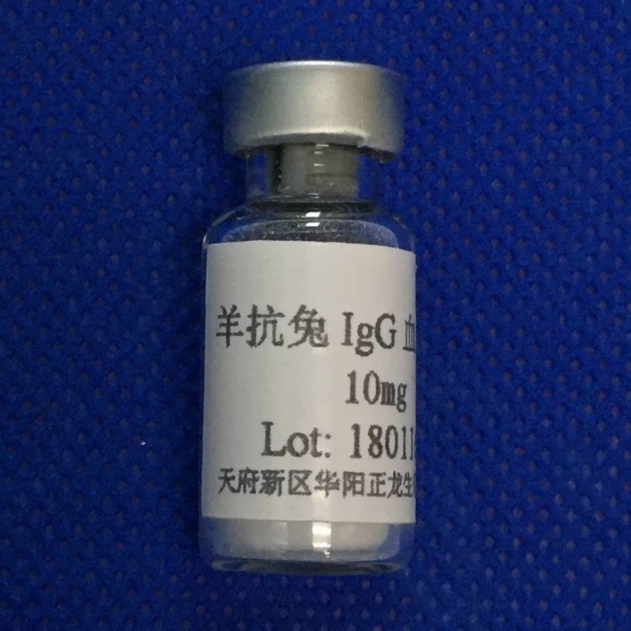 羊抗兔IgG抗体-10MG