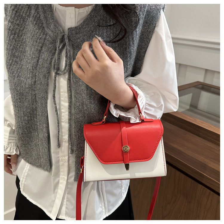 Women's Small Pu Leather Color Block Classic Style Square Magnetic Buckle Crossbody bag BAX display picture 20