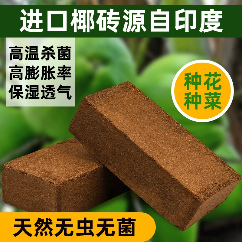 Кокосовый кирпич Питательная почва Кокосовая Хафф Кокосовая почва для выращивания цветов Овощи типа матрицы Кокосовый кирпич Яйца без насекомых Мясистое удобрение с низким содержанием соли