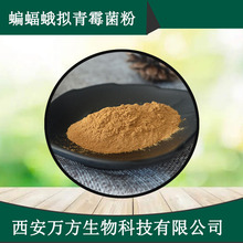 虫草菌粉万方直销蝙蝠蛾拟青霉菌粉CS-4现货批发发酵虫草菌丝体粉
