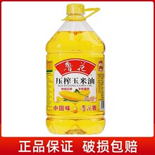 ���� ��ե������5L ���퉺ե�����{ζ�I�B