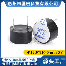 12065늴�ʽ���Q�����һ�w��Դֱ��5V�ߴ�12*6.5mmӍ���Buzzer