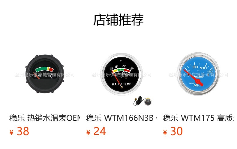 Murphy Water Temperature Gauge Murphy Instrument 1.2m 2.4m 3.6m 40-120 ℃    Wenle Instruments
