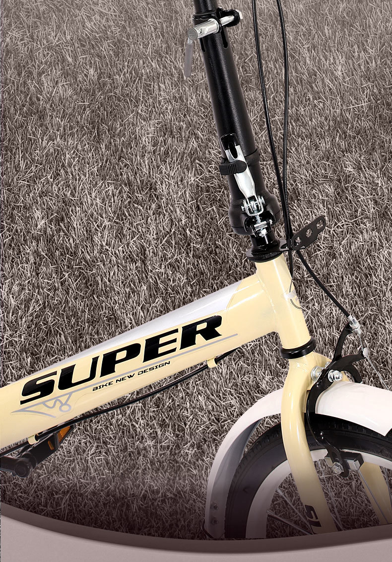 32f98aa7-cc69-4fc3-a069-605a8cd8db77.jpe