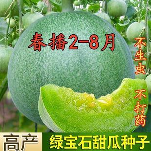 �G��ʯ��ϷN�ӾG��ʯ������Ʒ��Ƥ��ϷN�Ѵ����ļ��߲˷N�����