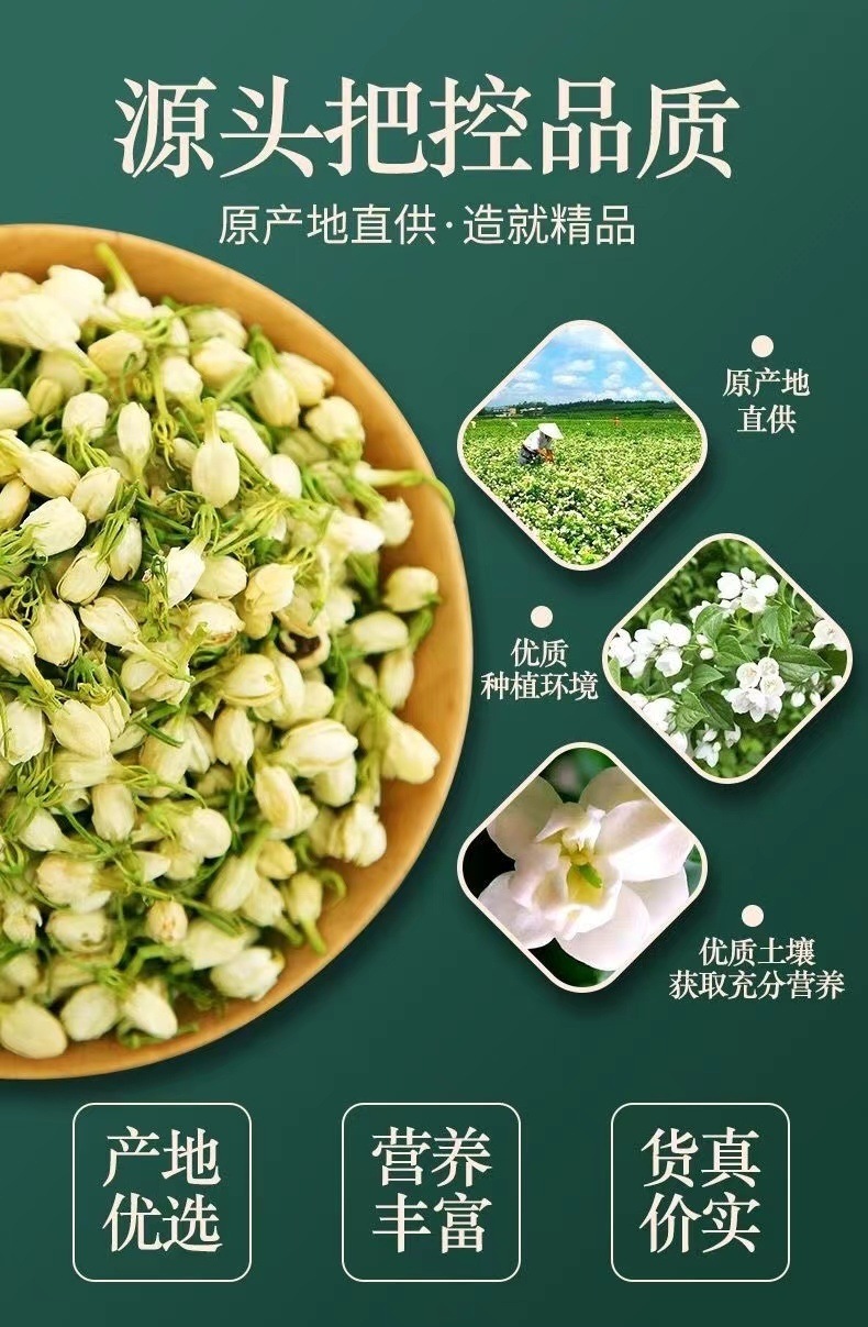 Premium Jasmine Tea Piao Xue Loose Leaf 2025 New Harvest 500g Bag Low-Temperature Roasted Fragrant Herbal Tea quality and texture