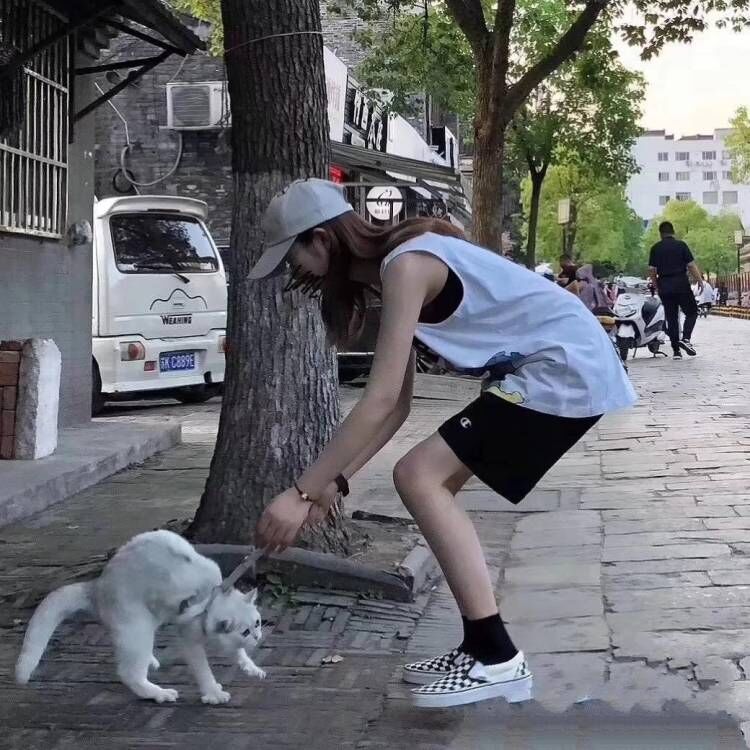 6DA454A7027E30CE0E942C5C7B6FBE