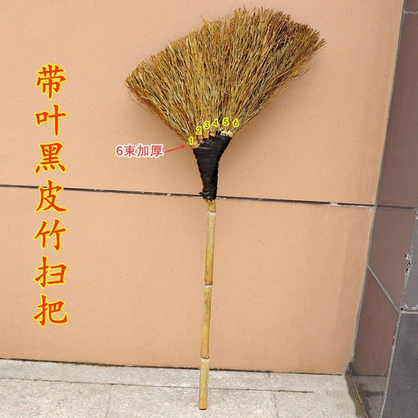[黑皮带叶竹扫把]