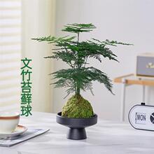 ����̦�\��U��Gֲ�k���҃ȾGֲ���ԃ����՚��ݗ���ļ�����