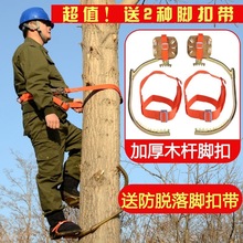 电工脚扣爬树上树工具爬电线杆摘树爬树工具木杆脚扎
