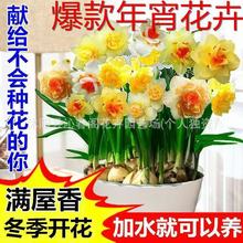 ����Ʒ�����ذ���ˮ�ɻ��N��ˮ���ļ��_�������ͺ�ֲ���҃Ȼ���