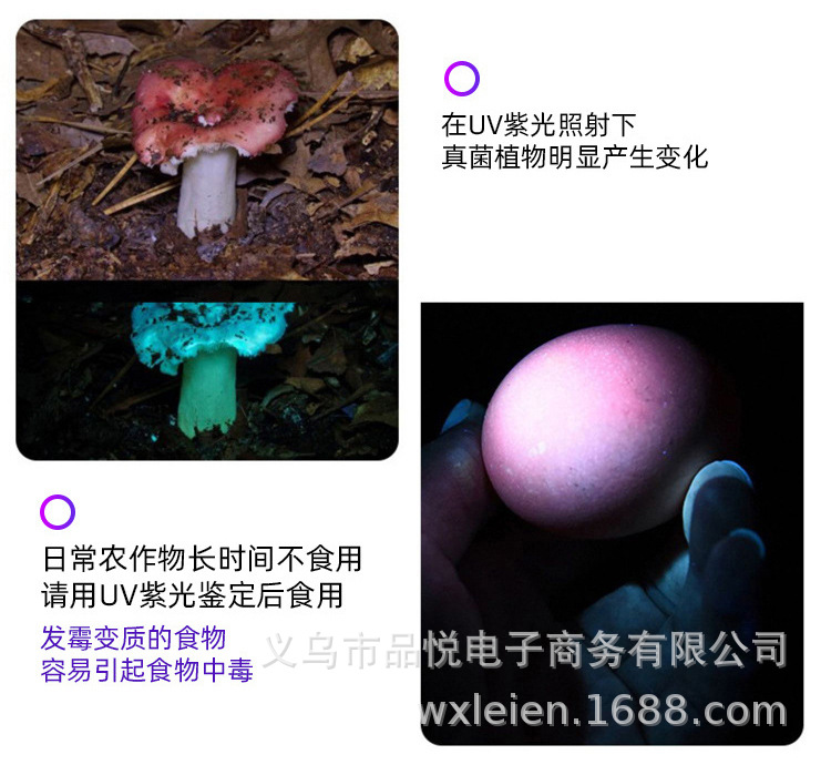 未标题-1_14.jpg