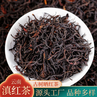 ��ϵ�t��26���R���ѩɽ�Ř��t��M��������Ұ�ŹŘ�t��