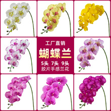 ���滨 �����m �߼����m��9�^7�^5�^�ָн����p�ݻ�Y�[���ٻ�