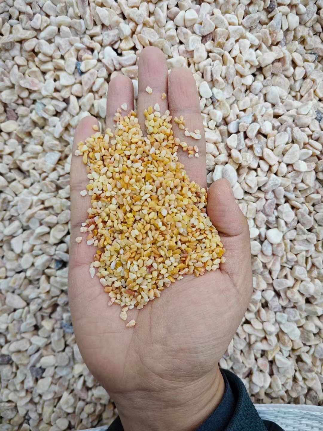 微信图片_20240325112341