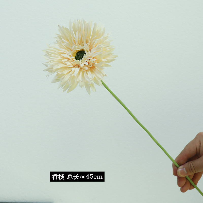 3#샴페인