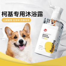 柯基专用香波狗狗夏季沐浴露中大型犬去体味清洁留香洗澡宠物用品