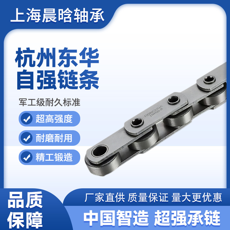 杭州东华自强单双排链条08A-1 10A-2 12A-1 20B-2