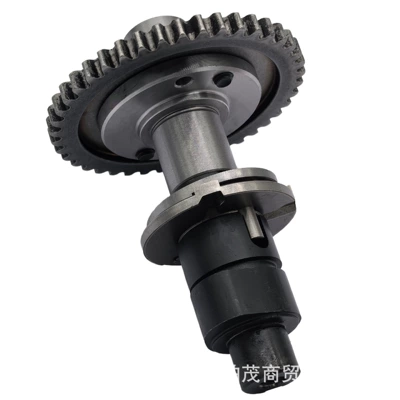 Crankshaft, camshaft X5 All-Terrain Vehicle, Beach
