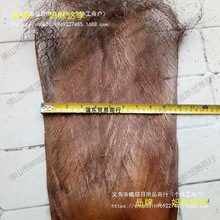 棕树皮棕衣棕毛棕榈衣棕丝棕片棕皮装饰绿萝棒椰棕棒茅屋用其他