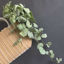 恆RdGֲԺ~WLҾbڙҒԴlGֲ~