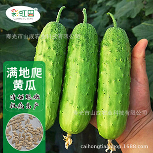 �M����ˮ���S�ϷN�����غ��S�ϷN�Ѵ����ļ��̨�߲˷N��֧�ִ��l