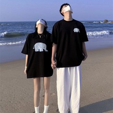 �ļ������ἃ�޾o�ܡ���H�b����T��Ů2026�¿���OӋ������Ů