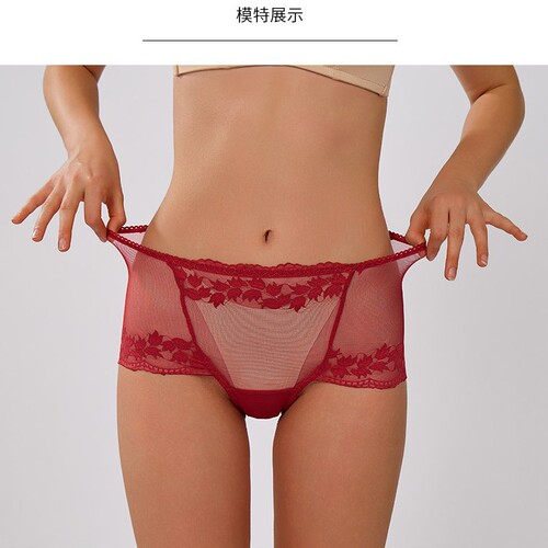Cross-border European and American plus-size sexy lace underwear high-waisted mesh breathable triangle thong factory wholesale 9002