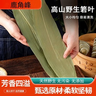 Dumpling Leaves Dried Dumpling Leaves Indocalamus Leaves Non-Dumpling Bamboo Leaves Authentic Alpine Pointed Straight Handle Indocalamus Leaves Package Zongzi Leaves Jiangxi