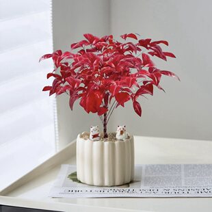 ������������������������Gֲ����ֲ����B���ͺ��k��������[��