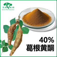 葛根黄酮40% 葛根提取物Puerarin医药级7-二羟基异黄酮3681-99-0