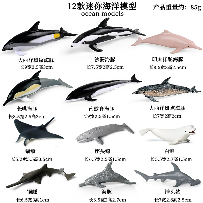 Cognitive realistic marine animal model, dinosaur, toy