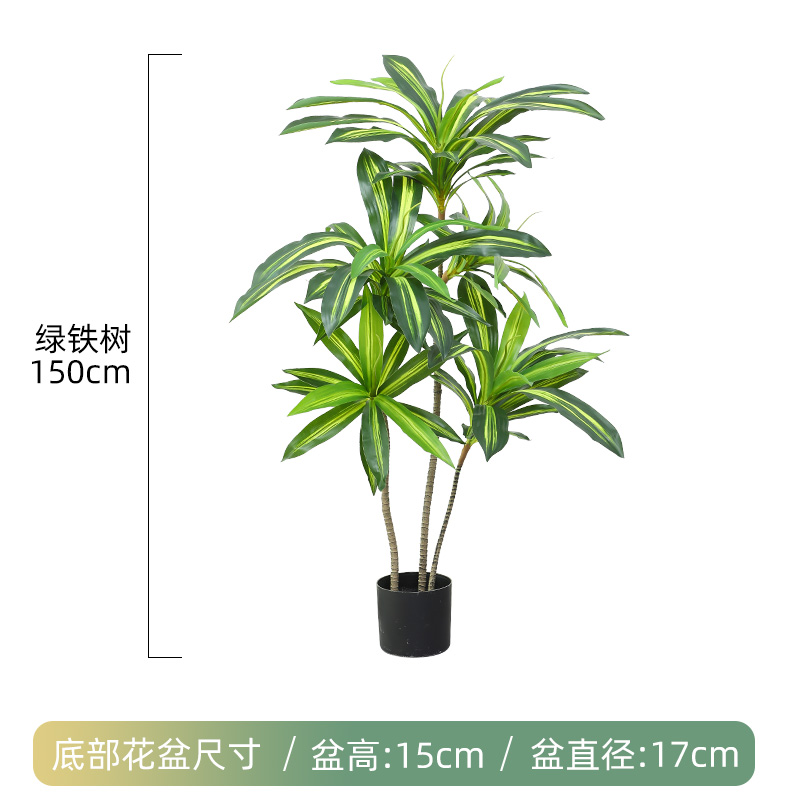 150cm 3극 녹색 철나무