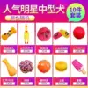 Popular medium-sized dogs (ten-piece set)