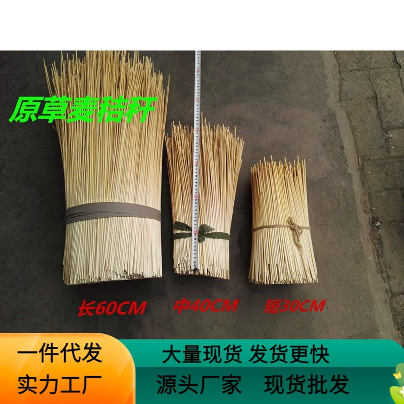 Оптовая продажа оригинальной экологической пшеничной соломы, пшеничной соломы, пшеничной соломы, ячменной соломы, сырья пшеничной соломы современного производства