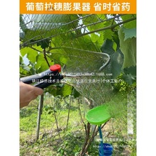 ꖹ�õ����������J�����F�����^șҺ�������������ڼӁ�������