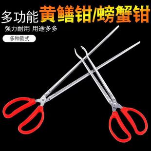 �S�X�A���q�X�~�Q�����s���������P䓊A�߼��L�з�A�������A����