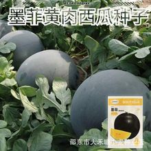 īSϷNϷNӺƤSϷN֭ˮN