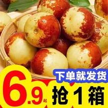 冬枣