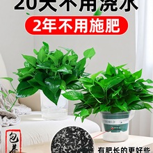 ԄaˮG}ֲ҃ﻨLٴ~GjˮGֲ·G_