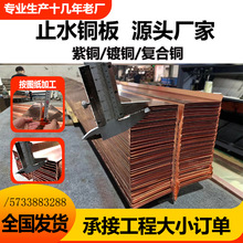 铜板 T2紫铜止水铜片0.8 1.0 1.2厚复合铜 镀铜止水铜板黄铜WUV型