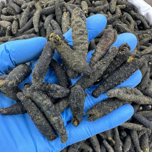 �������Ʋ� С�ڴ̲� ���Ĳ����Ʋ������亣ζ�ɻ�100-400ͷ500��