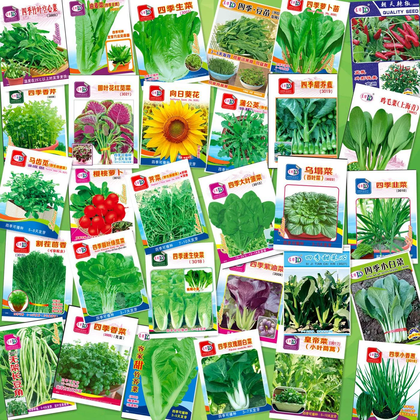 Принадлежности для перенаправления движения в цветочном магазине [мини-упаковка 6,5 × 8,8 см] Тридцать видов овощных семян в пакетах для оптовой продажи
